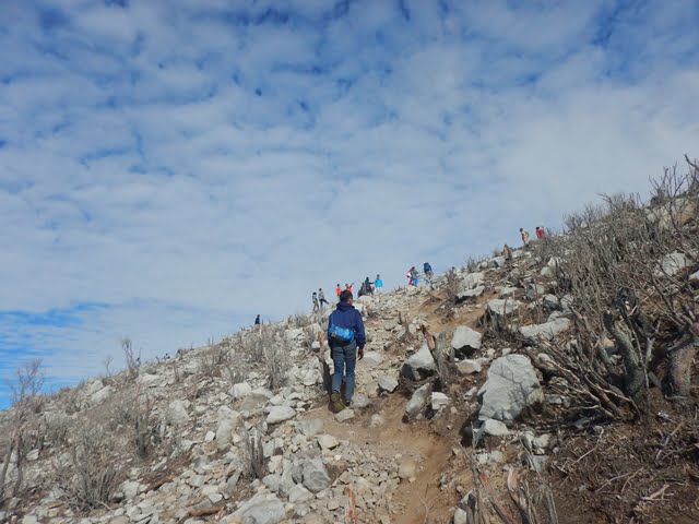 pendakian gunung sindoro