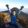 Avatar photo