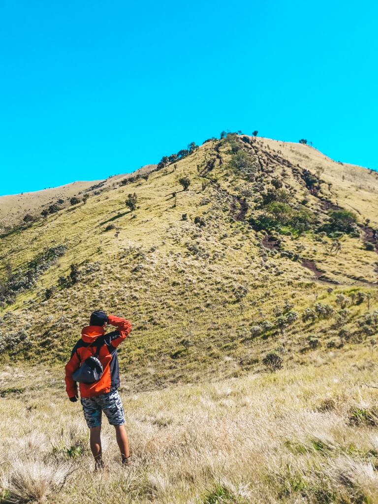 Gunung Merbabu, Sabana 2