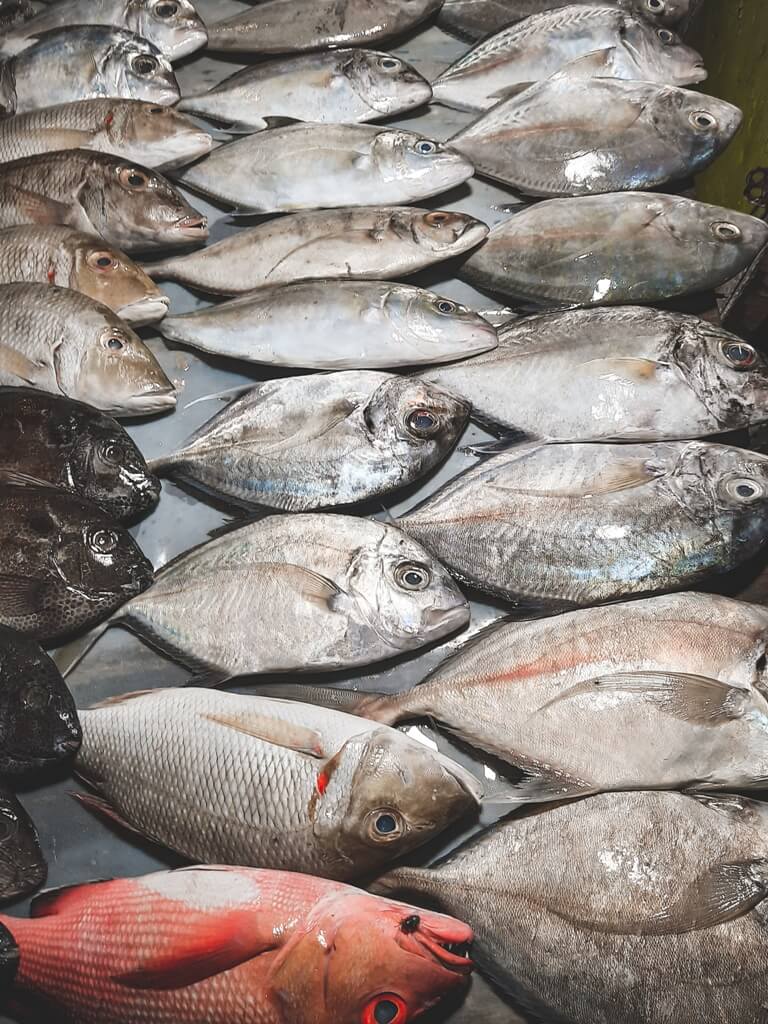 Menyusuri Pasar Ikan hingga Warung Makan di Jembatan Puri Sorong