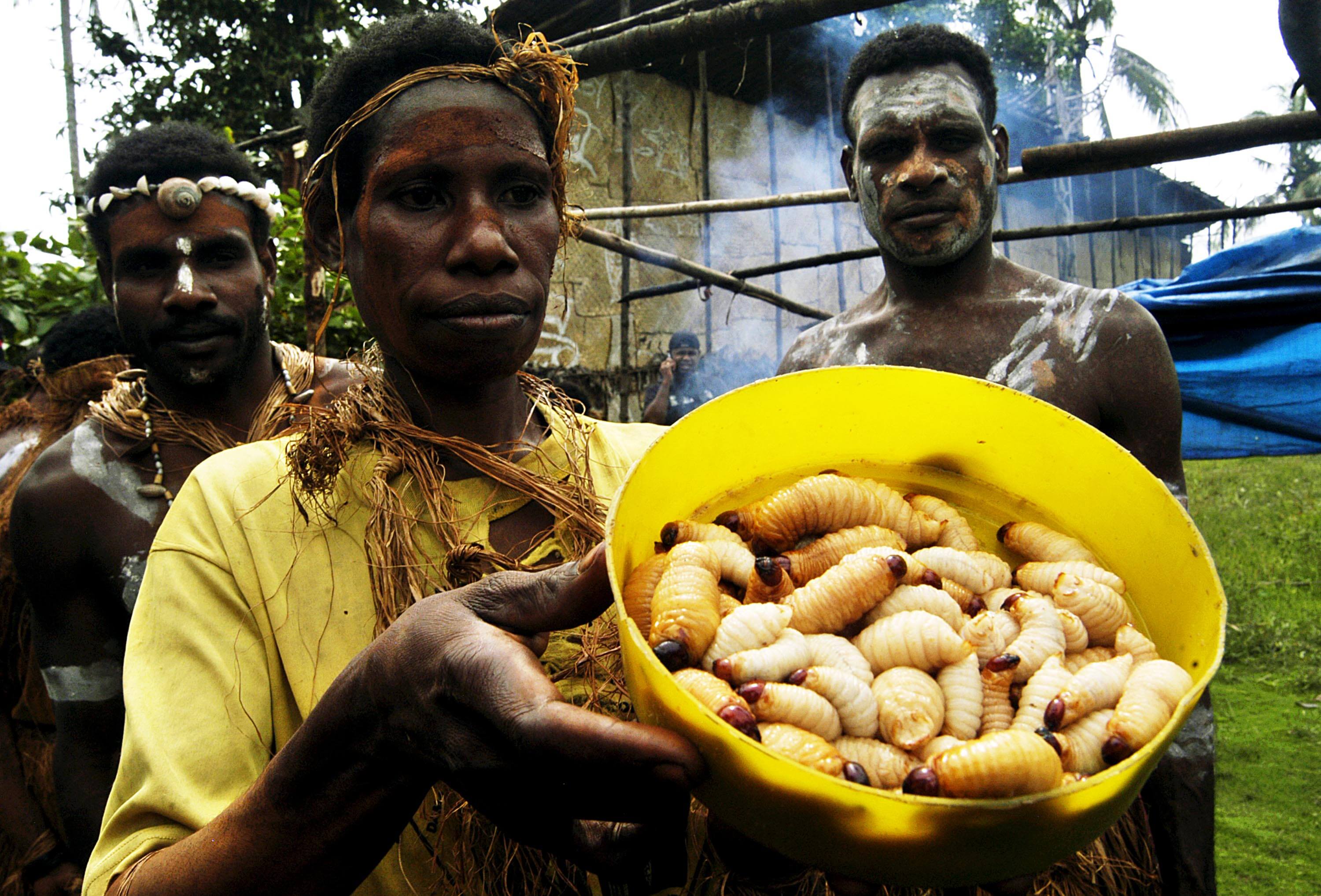 serangga yang bisa dimakan