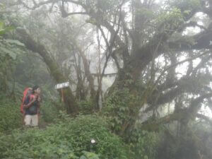 Mendaki Gunung Merbabu lewat Jalur Suwanting