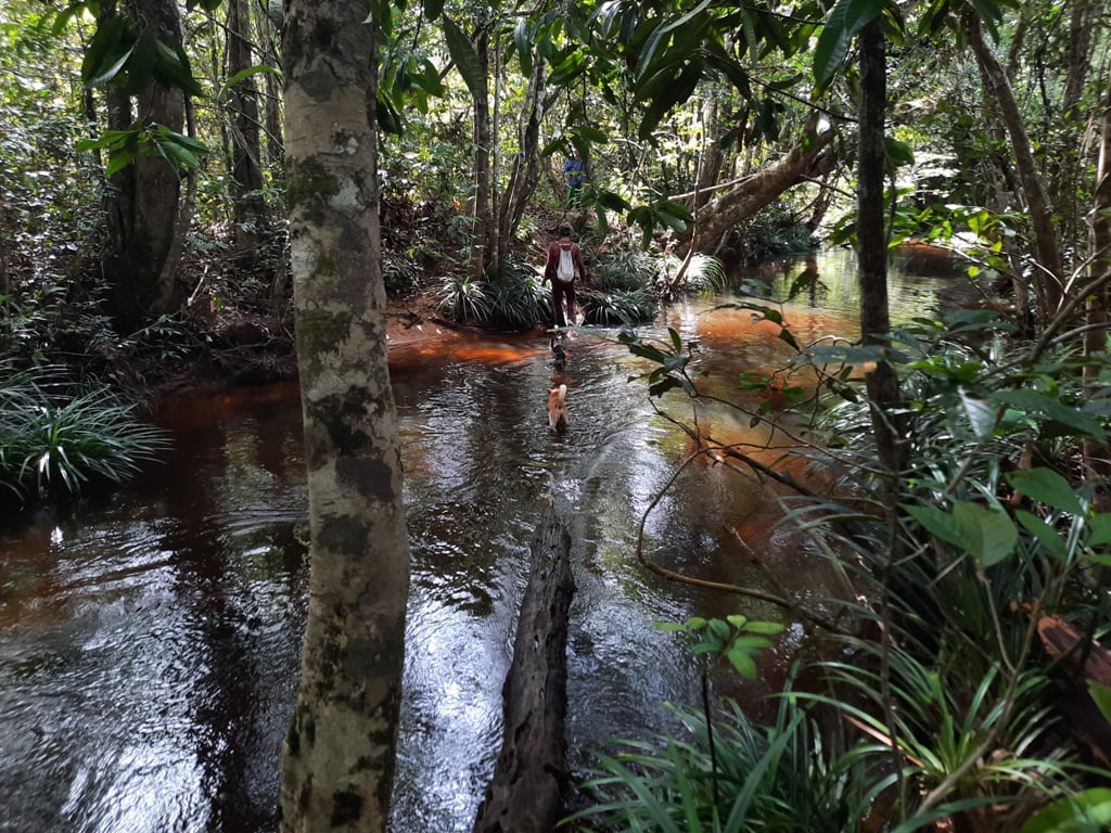 Sungai Mayan di Desa Benuis