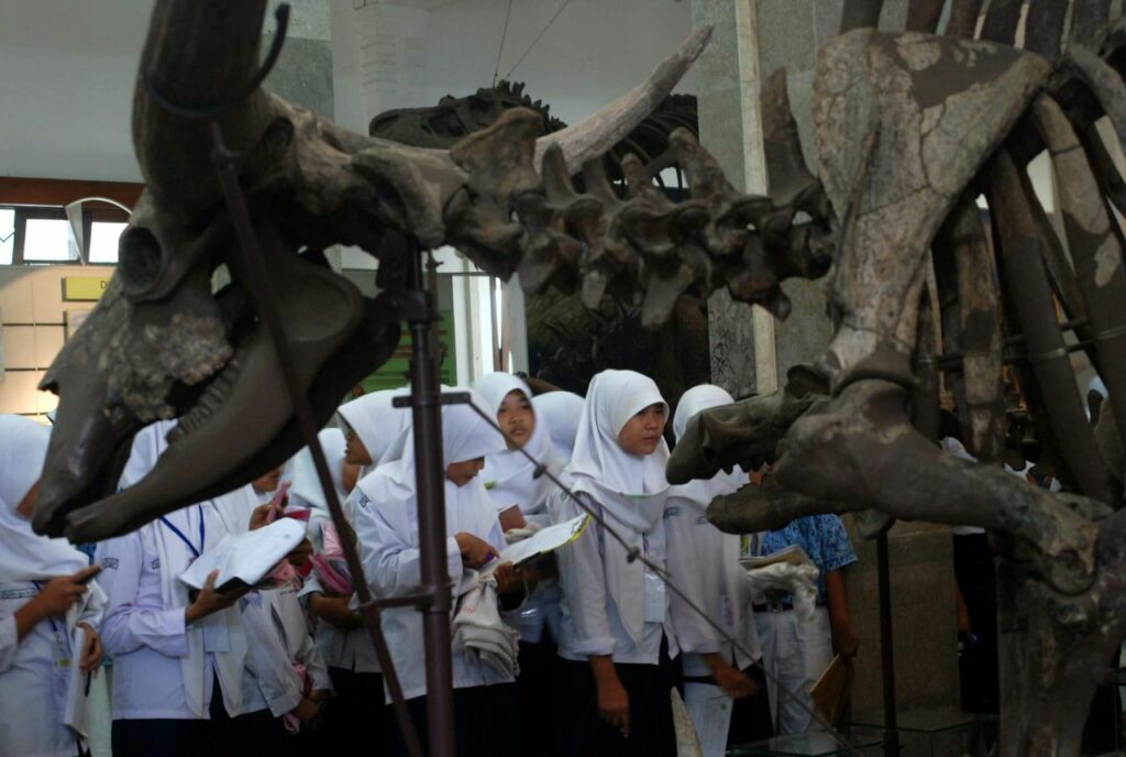 Pengunjung paling banyak dari Museum Geologi Bandung adalah anak-anak sekolah (TEMPO_Prima Mulia)