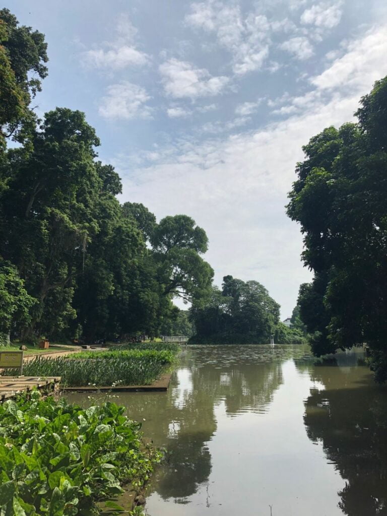 Kolam Kebun Raya Bogor