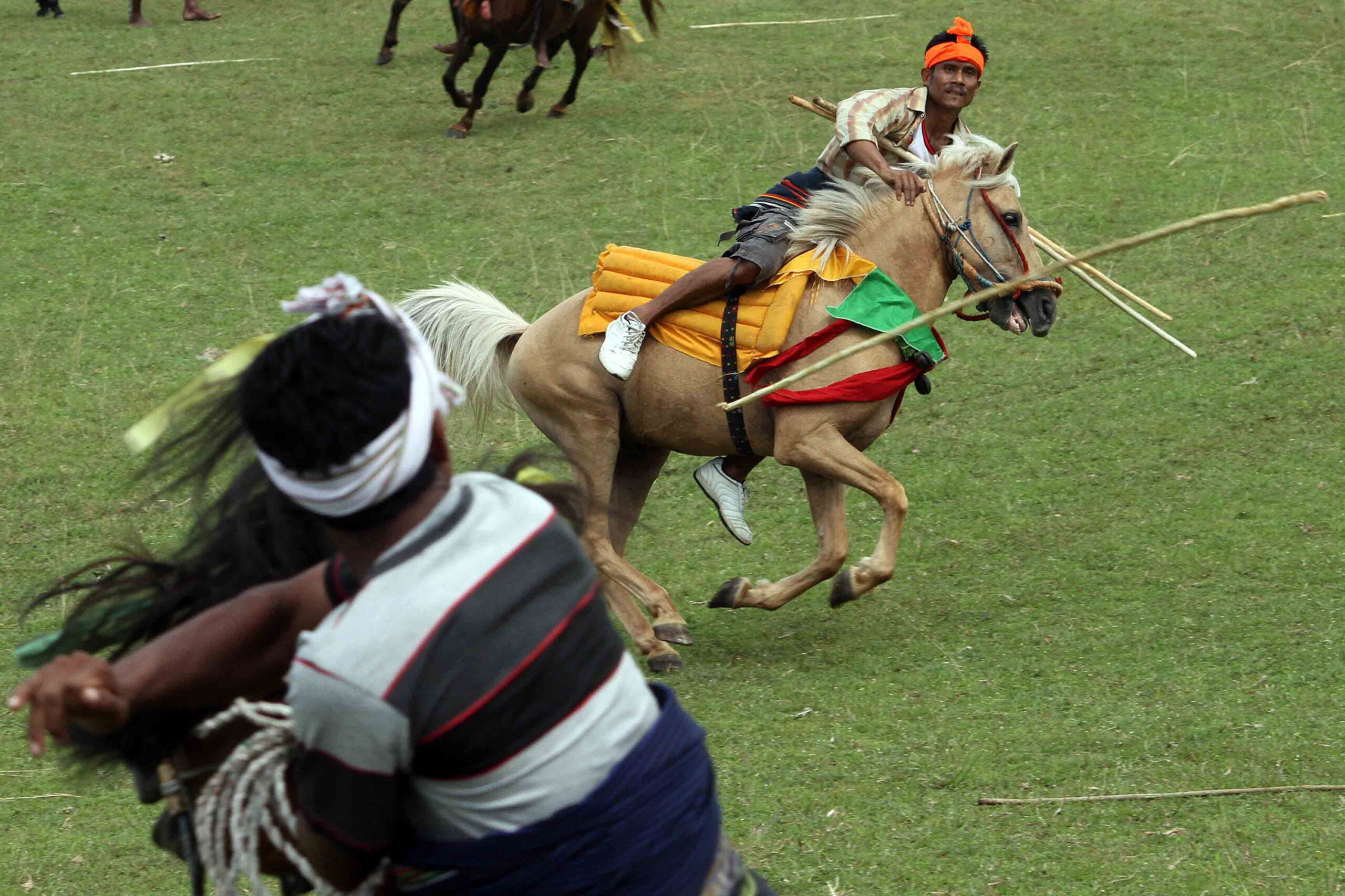 Menonton Tradisi Pasola Di Kodi Sumba Barat Daya Telusuri