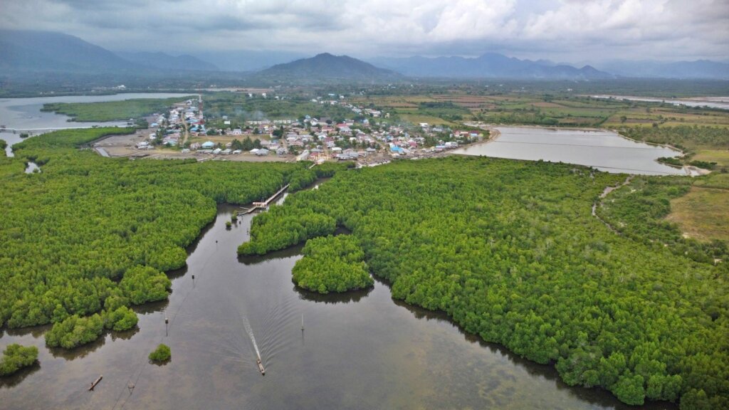 Mangrove Popayato: Berbagi Manfaat bagi Manusia dan Hewan