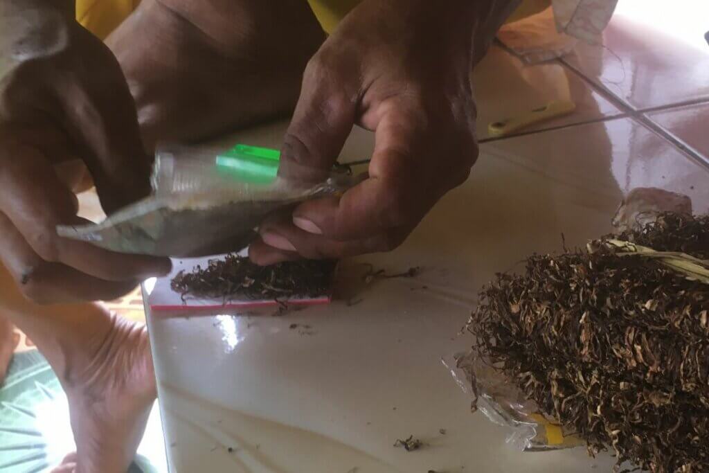 Belajar Melinting Tembakau Karanggayam di Kebumen