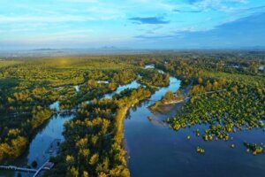 Cerita Kehidupan Mangrove dalam Pengelolaan Hutan Kemasyarakatan di Belitung