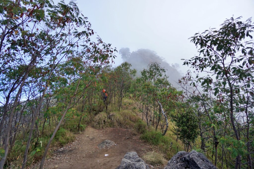 Kartu Pos dari Gunung Sumbing