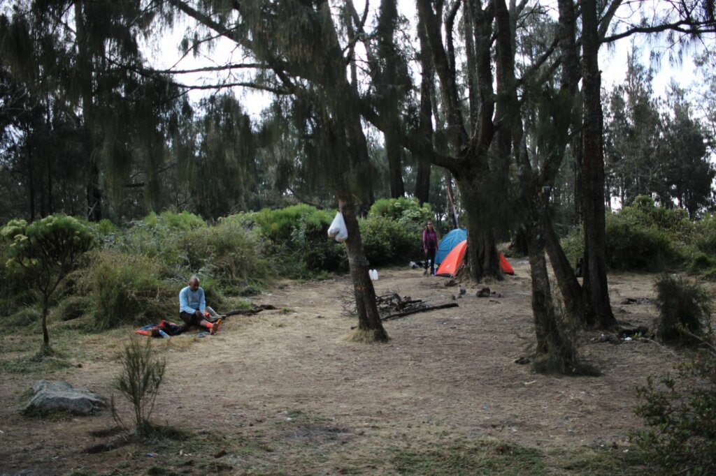 Tempat-tempat “Camping” yang Harus Dicoba di Gunung Argopuro