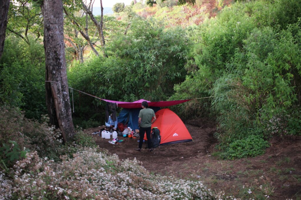 Pos-Pos Tempat “Camping” yang Harus Dicoba di Gunung Argopuro