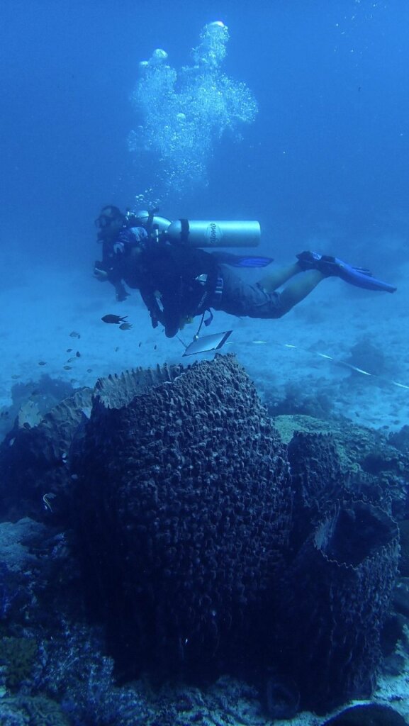 Ekspedisi Maluku Barat Daya 2024: Mencari yang Hilang, Menemukan yang Baru