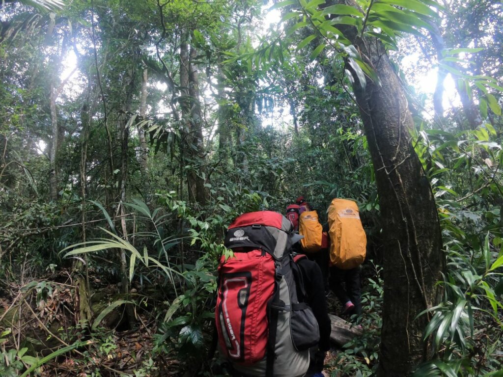 Menjelajah Hutan Indrakila, Sisi Barat Gunung Ungaran