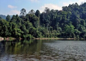 Hari Danau Sedunia, Momentum Menyelamatkan Danau-Danau Kita