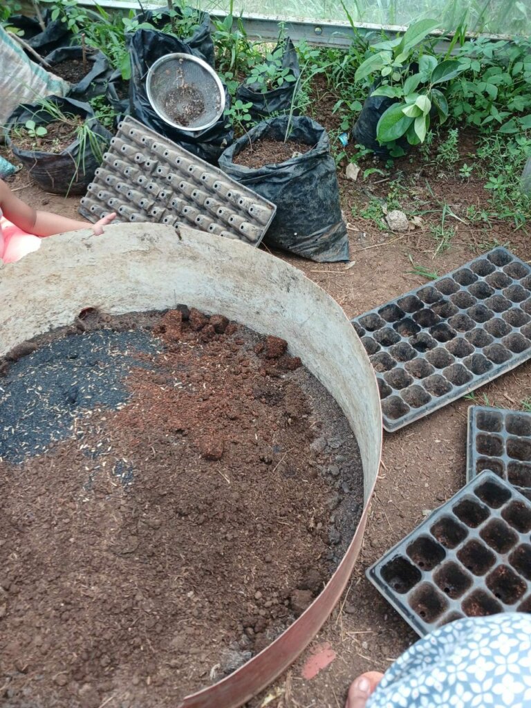 Sehari Menjadi Pekebun Kota di Kebun Tetangga