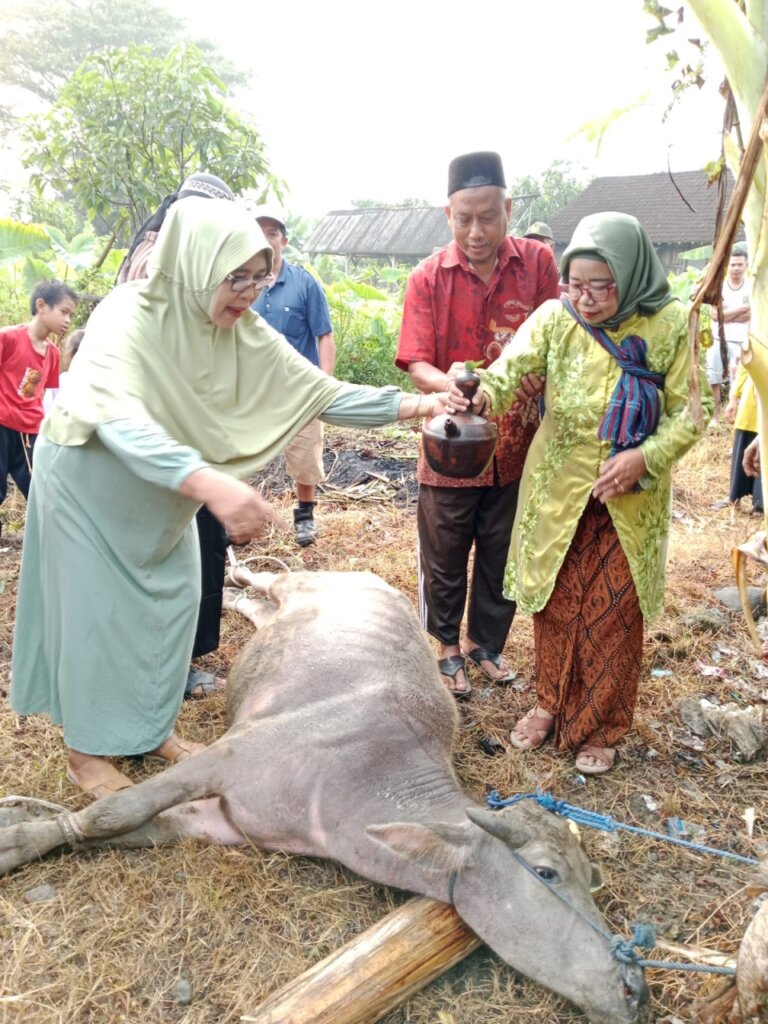 Melihat Keunikan Prosesi Sedekah Bumi Desa Ngombak Grobogan