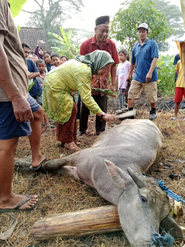 Melihat Keunikan Prosesi Sedekah Bumi Desa Ngombak Grobogan