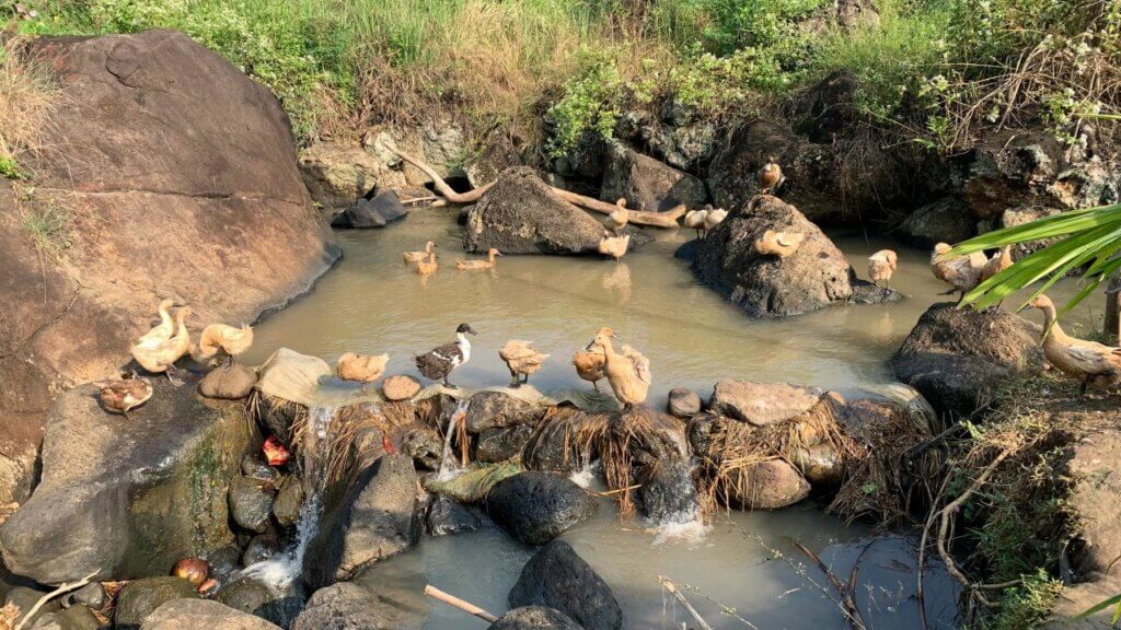 Liburan Sederhana di Salatiga