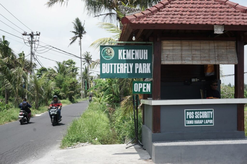 Eksotisme Lepidoptera Pulau Dewata