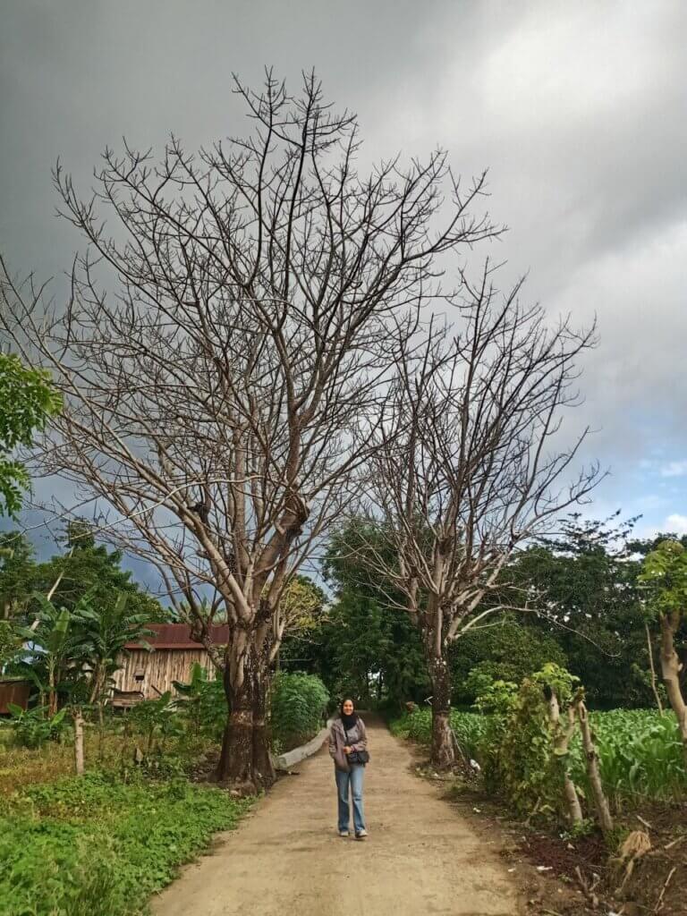 Cerita Lima Hari di Parepare