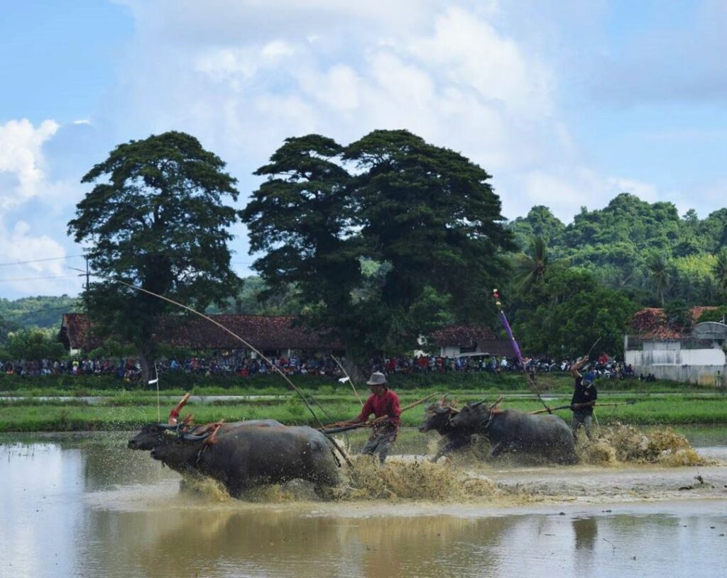 Jalan-Jalan ke Kangean (1)