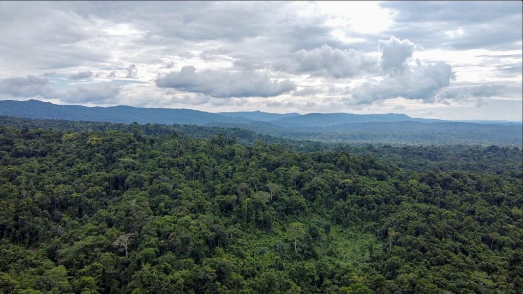 Menjaga Rumah Cenderawasih dan Satwa Endemik di Hutan Papua