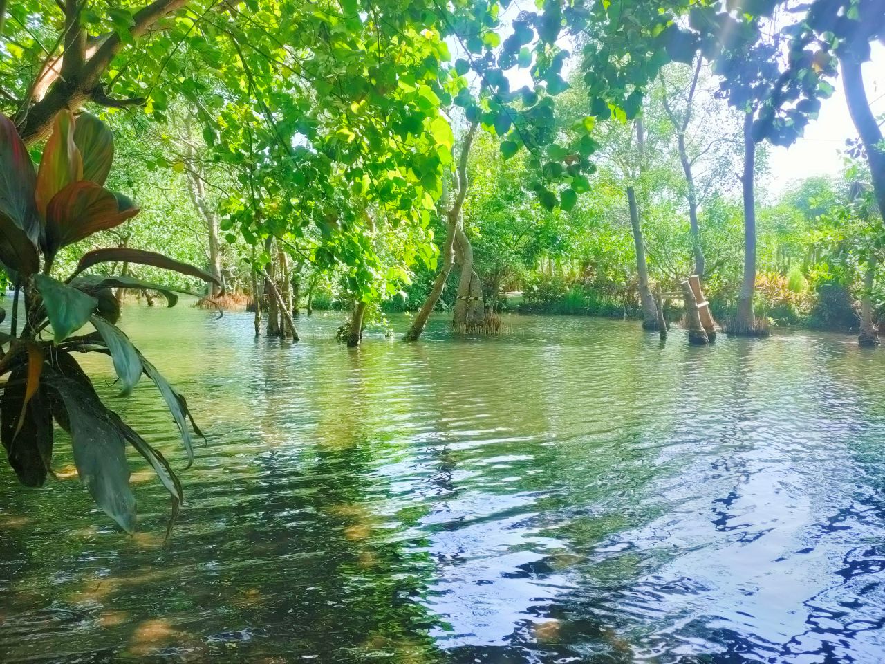 Menghadiri Jambore Sastra di Banyuwangi