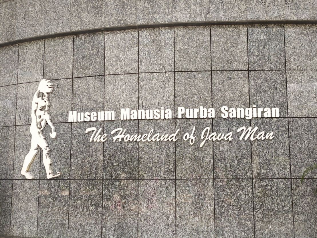 Eksplorasi Sudut Unik Museum Sangiran