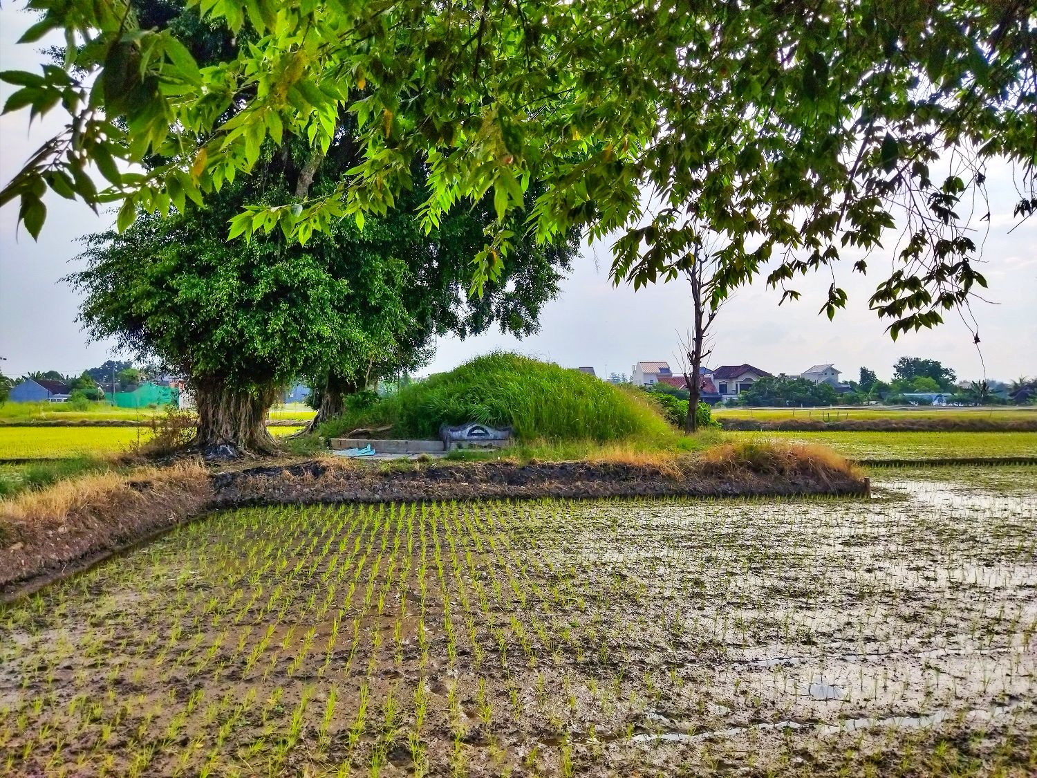 Sepenggal Kisah Penelusuran Jejak Pewaris Takhta Keraton Kartasura