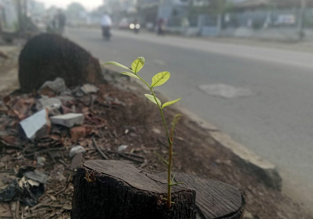 Bandung: Dari Kota Kembang menuju Kota Flyover