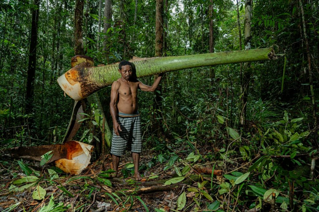 Jalan Panjang Pengakuan Hutan Adat di Sorong dan Sorong Selatan