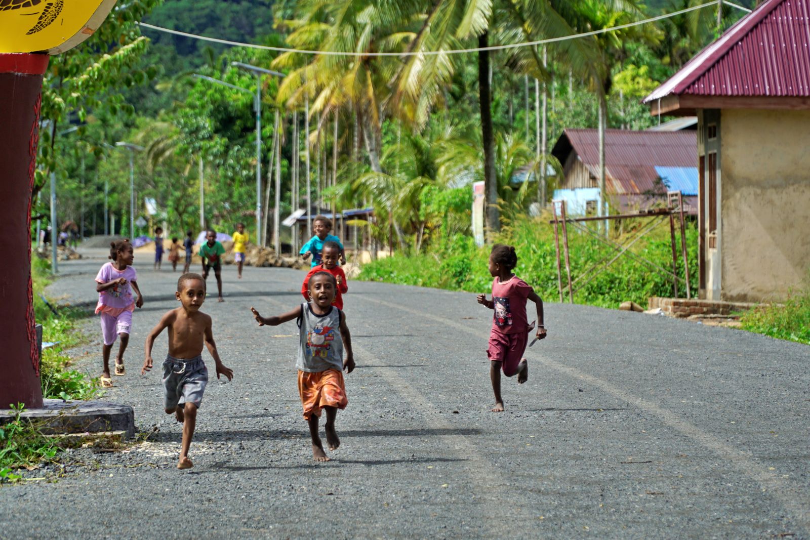 Terima Kasih, Papua