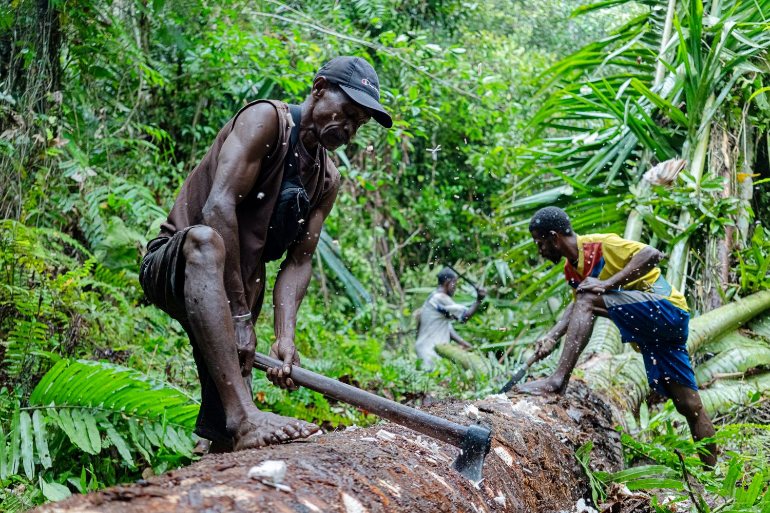 Jalan Panjang Pengakuan Hutan Adat di Sorong dan Sorong Selatan