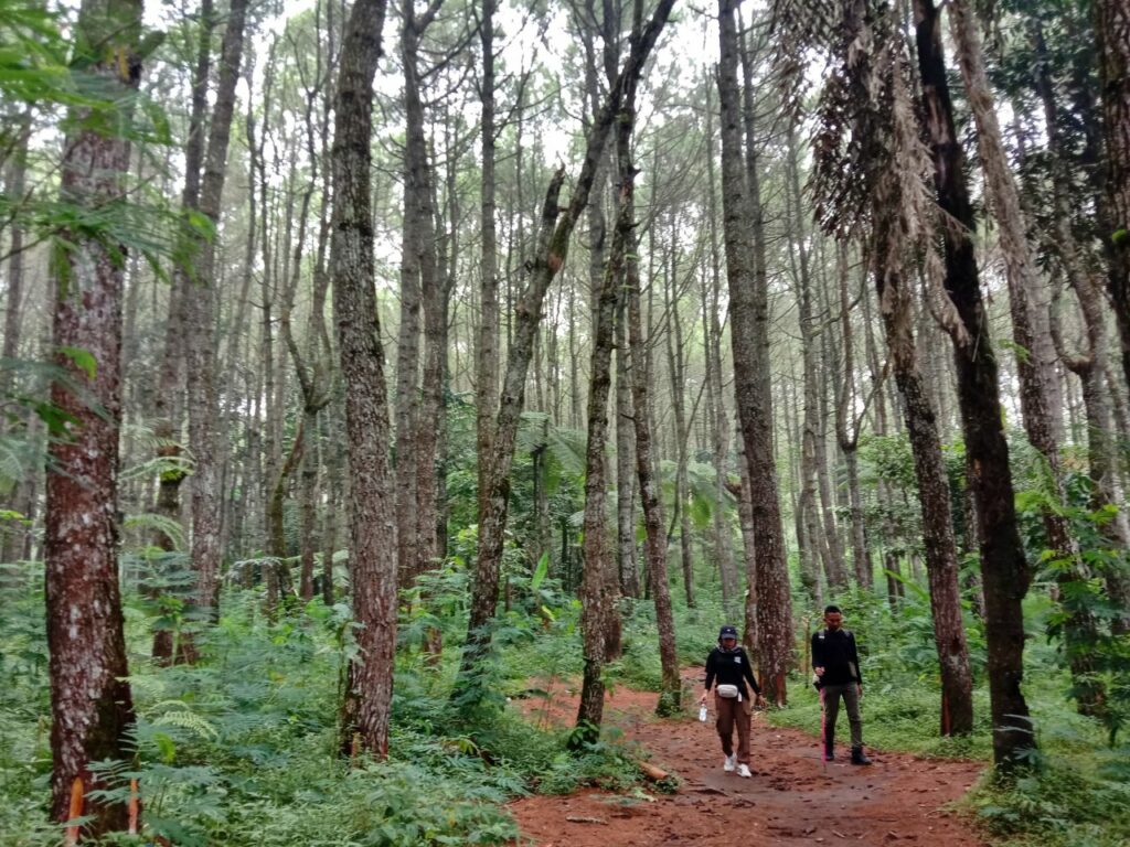 Jalan Pagi ke Cigowong setelah PNBP Naik