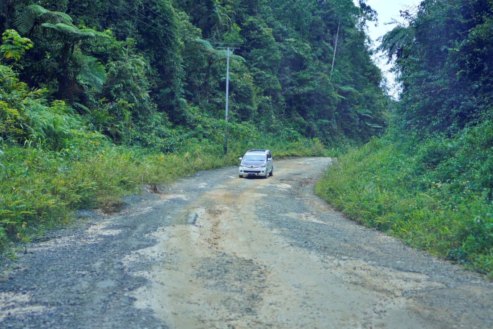 Sorong–Sorong Selatan: Sebuah Jurnal Perjalanan (2)