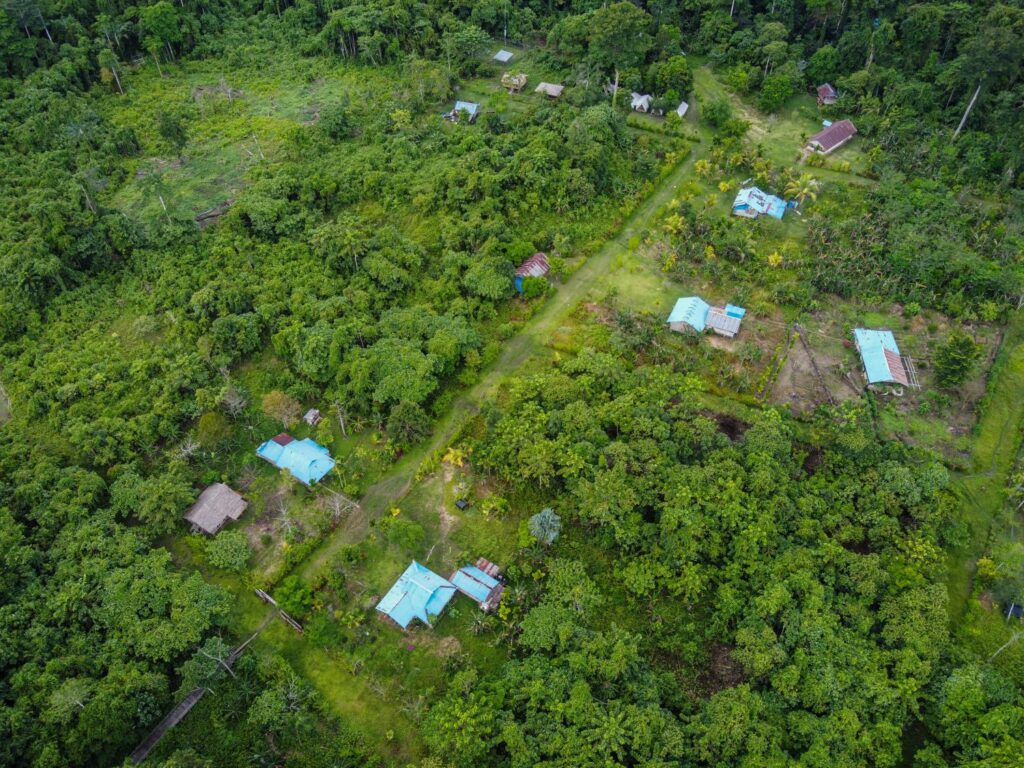 Ekowisata Malagufuk: Menjaga Rumah Cenderawasih, Bukan “Cenderasawit”