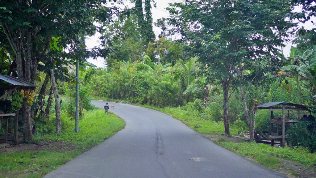 Jalan Panjang Pengakuan Hutan Adat di Sorong dan Sorong Selatan