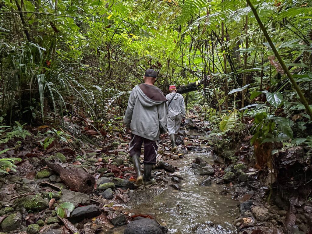 Melihat Cenderawasih, Potensi Ekowisata Baru Kampung Berap Jayapura