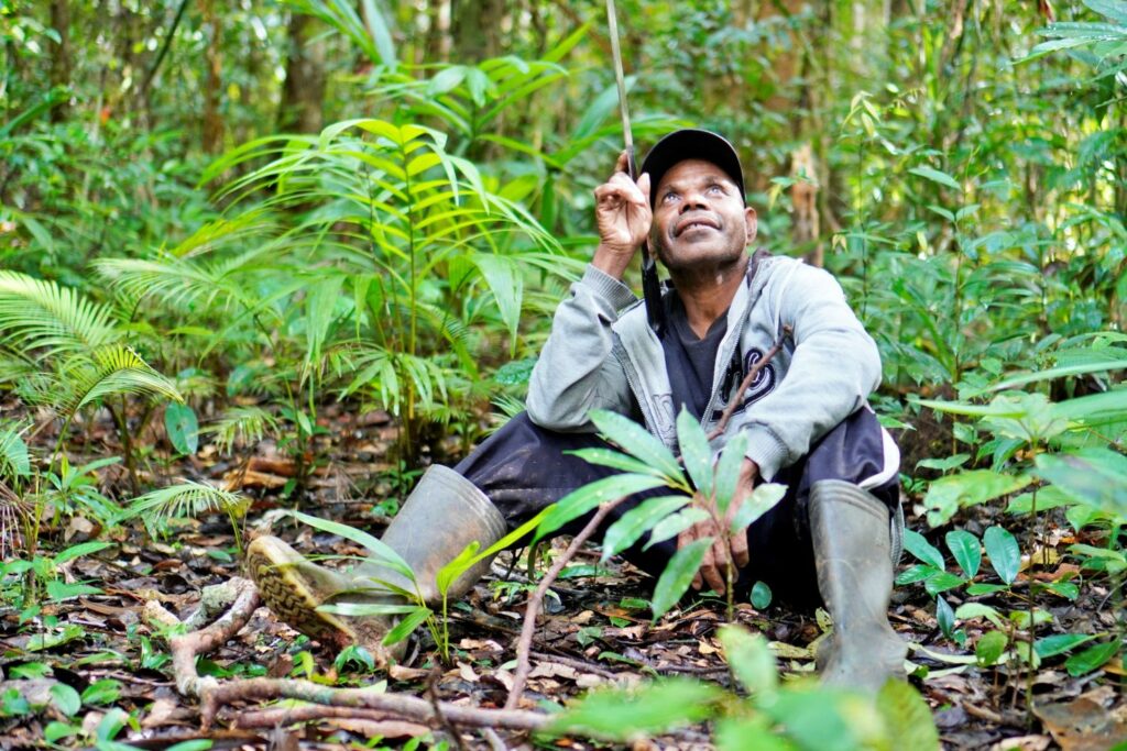 Papua: Taman Bermain Burung-Burung