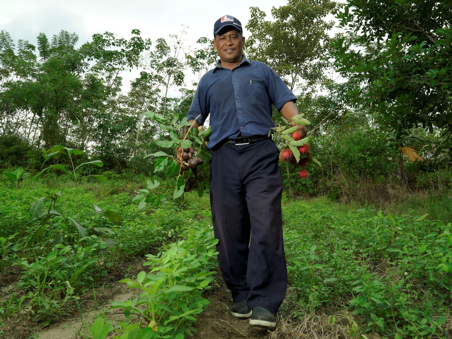 Surat Terbuka untuk Rencana Deforestasi 20 Juta Hektare Hutan oleh Pemerintah