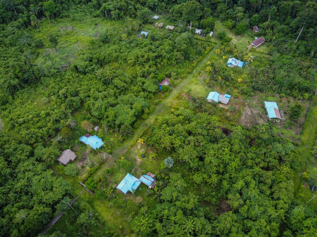 Surat Terbuka untuk Rencana Deforestasi 20 Juta Hektare Hutan oleh Pemerintah