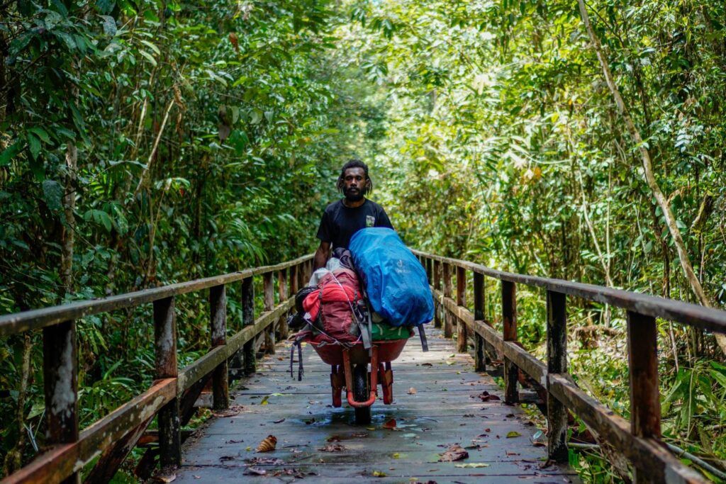 Surat Terbuka untuk Rencana Deforestasi 20 Juta Hektare Hutan oleh Pemerintah