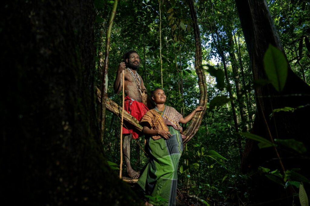 Surat Terbuka untuk Rencana Deforestasi 20 Juta Hektare Hutan oleh Pemerintah