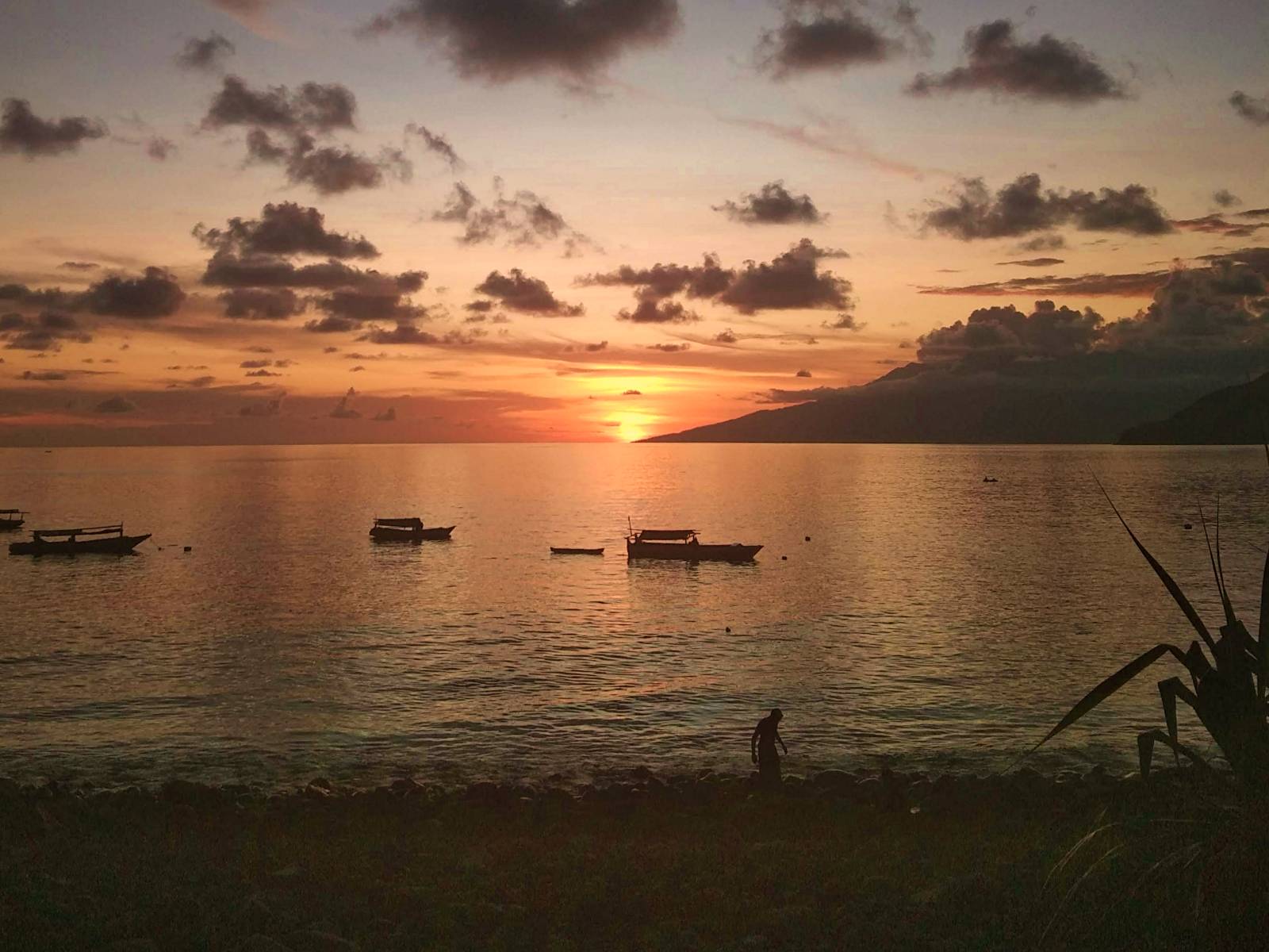 Wisata Seribu Pantai di Maunori